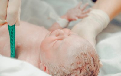 Evaluación y primeros cuidados del Recién Nacido