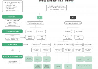 Algoritmo del manejo hemodinámico en el paciente con bajo índice cardíaco