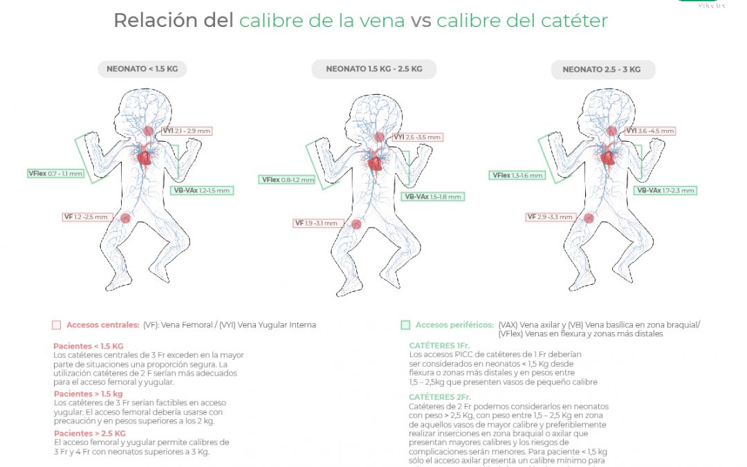 Relación del calibre de la vena vs calibre del catéter en neonatos